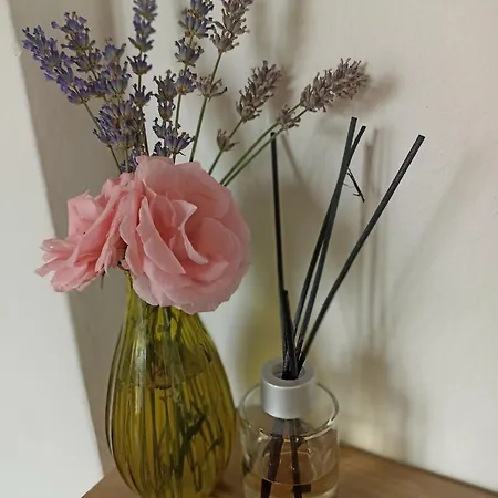 V Rodinnem Dome Homestay Ostopovice