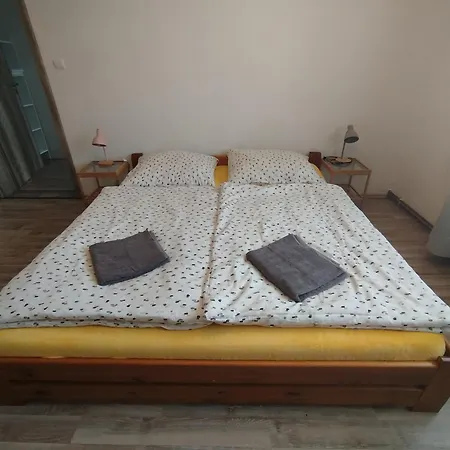 V Rodinnem Dome Pansiyon Ostopovice