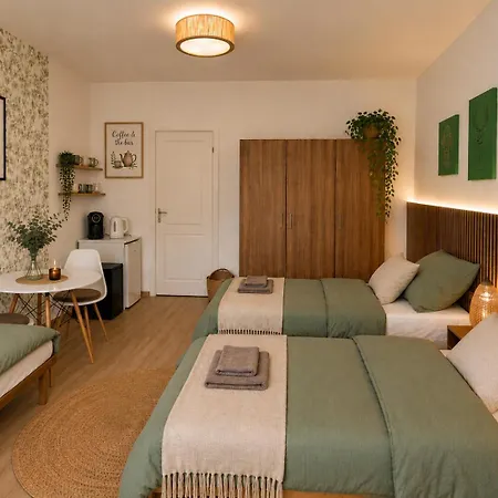 Zeleny Dum Homestay